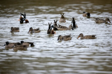 epv-lifestyle-photo5